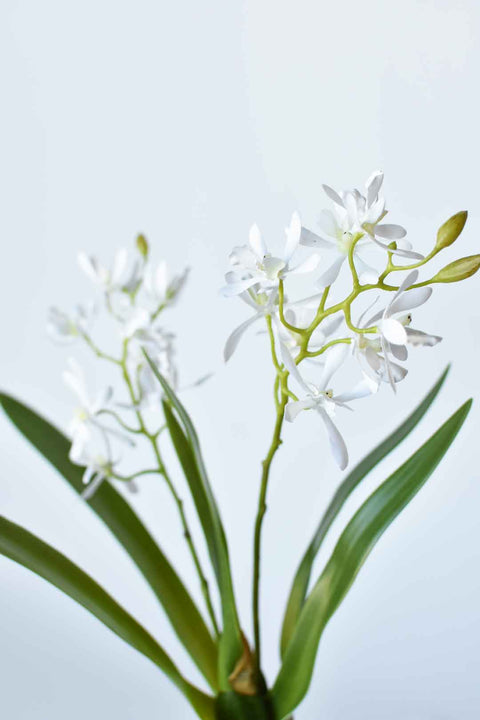 16" Faux Mini Orchid Stem with Leaves and Roots