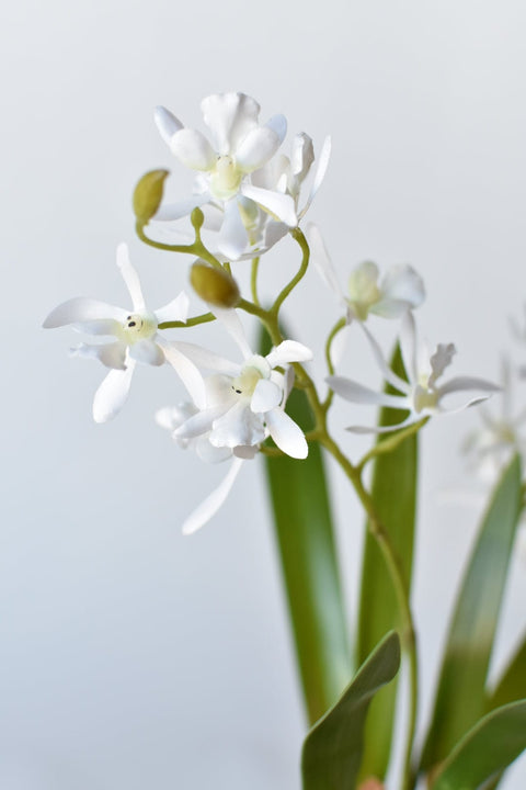 16" Faux Mini Orchid Stem with Leaves and Roots