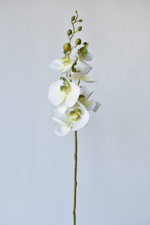 33" Faux White Phalaenopsis Orchid Stem