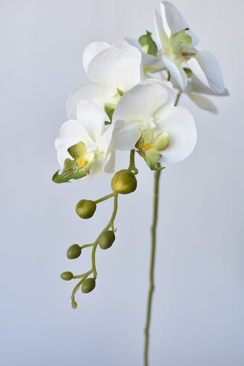 33" Faux White Phalaenopsis Orchid Stem