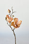 19" Faux Magnolia Stem Light Orange/Pink
