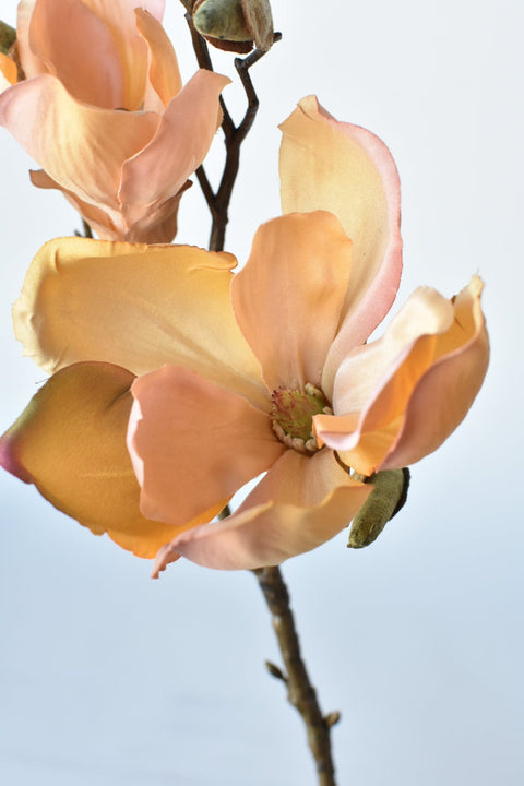 19" Faux Magnolia Stem Light Orange/Pink