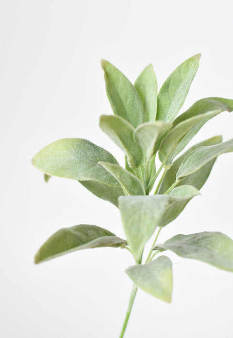 12" Faux Green Sage Pick Stem