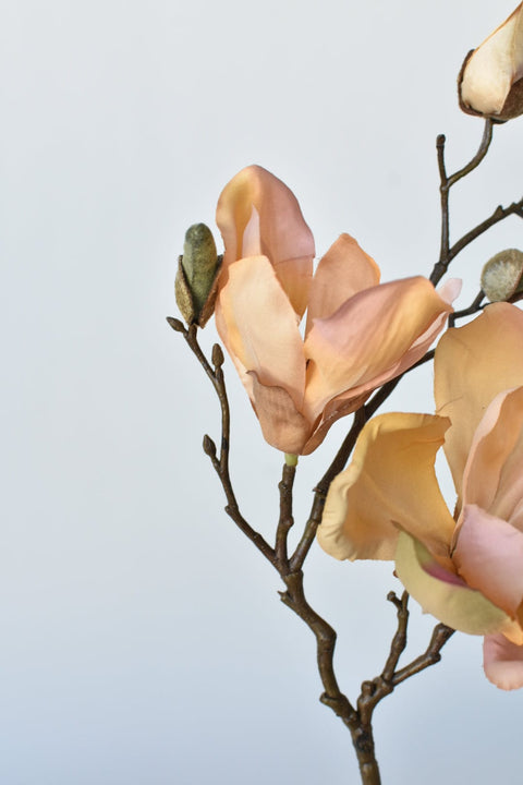 19" Faux Magnolia Stem Light Orange/Pink