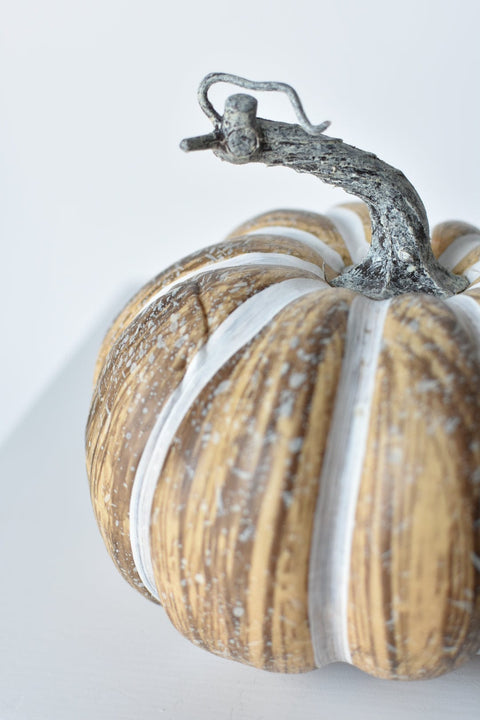 6.5"Hx7.5"W Faux Pumpkin Beige White - Wide