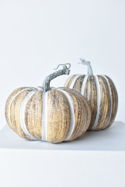 6.5"Hx7.5"W Faux Pumpkin Beige White - Wide