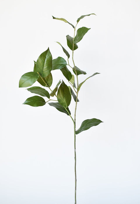 36" Faux Lemon Leaf Branch Stem