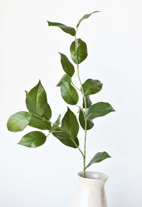 36" Faux Lemon Leaf Branch Stem