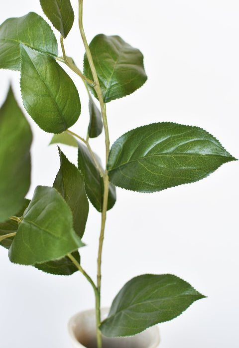 36" Faux Lemon Leaf Branch Stem