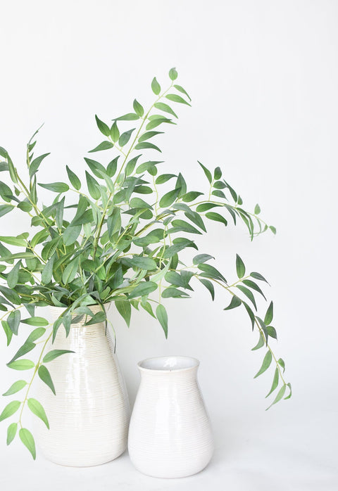 36" Faux Italian Ruscus Stem