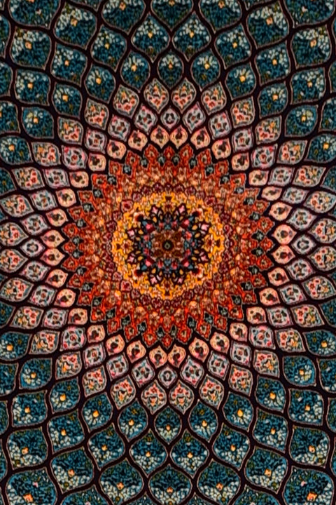Fine Mahi 100% Silk Oriental Rug 7' x 10'