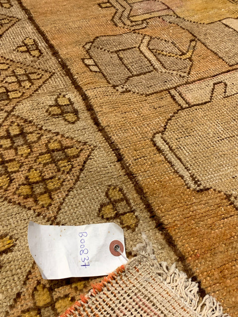 Antique Khotan Samarkand Rug, Tea Pot Design circa 1910's, 5' x 10'