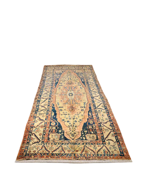Antique Khotan Samarkand Rug, circa 1910's, 5' 9" x 12' 2"