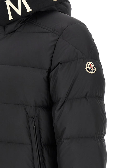 Moncler Orvelle Down Jacket