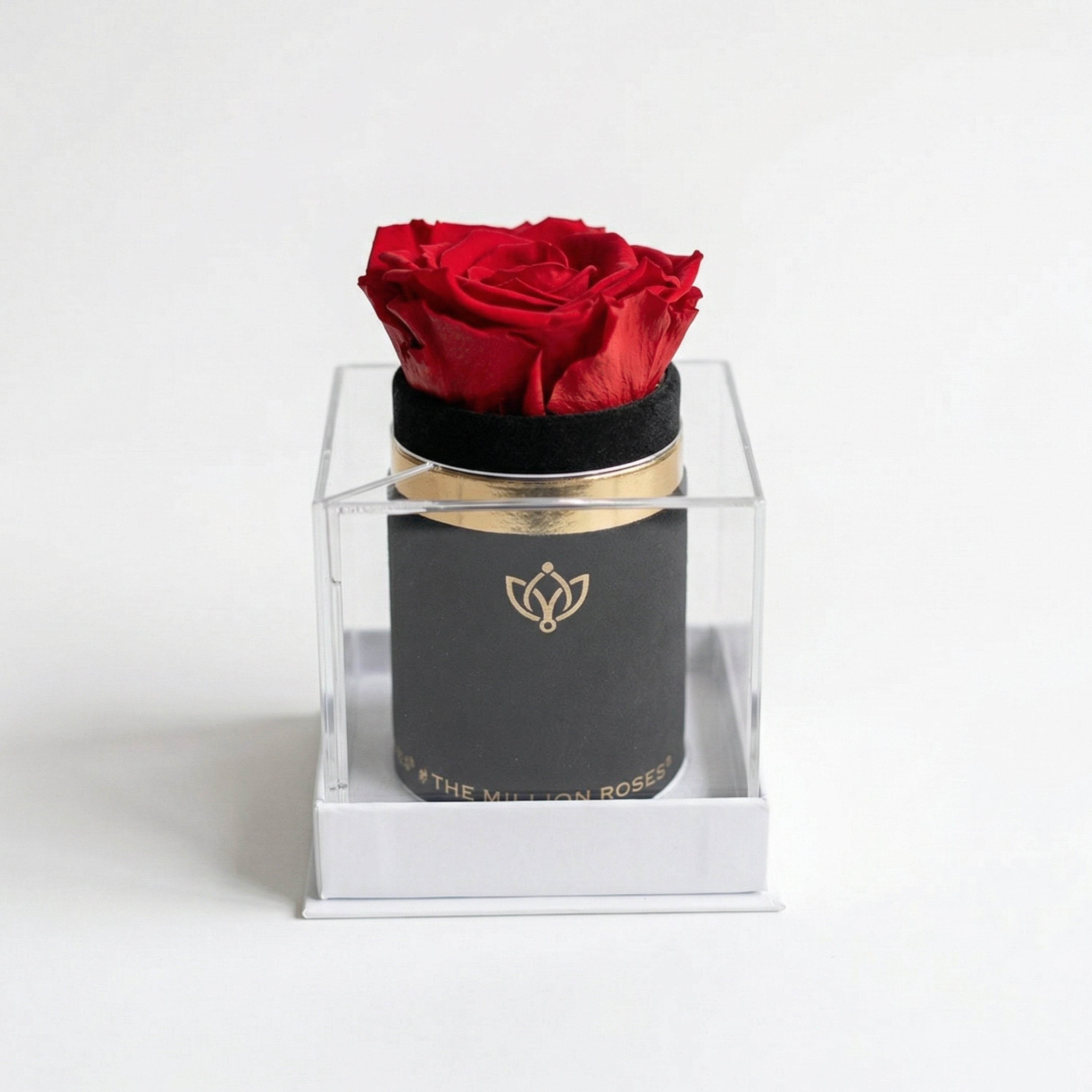 Single Black Suede Box | Red Rose