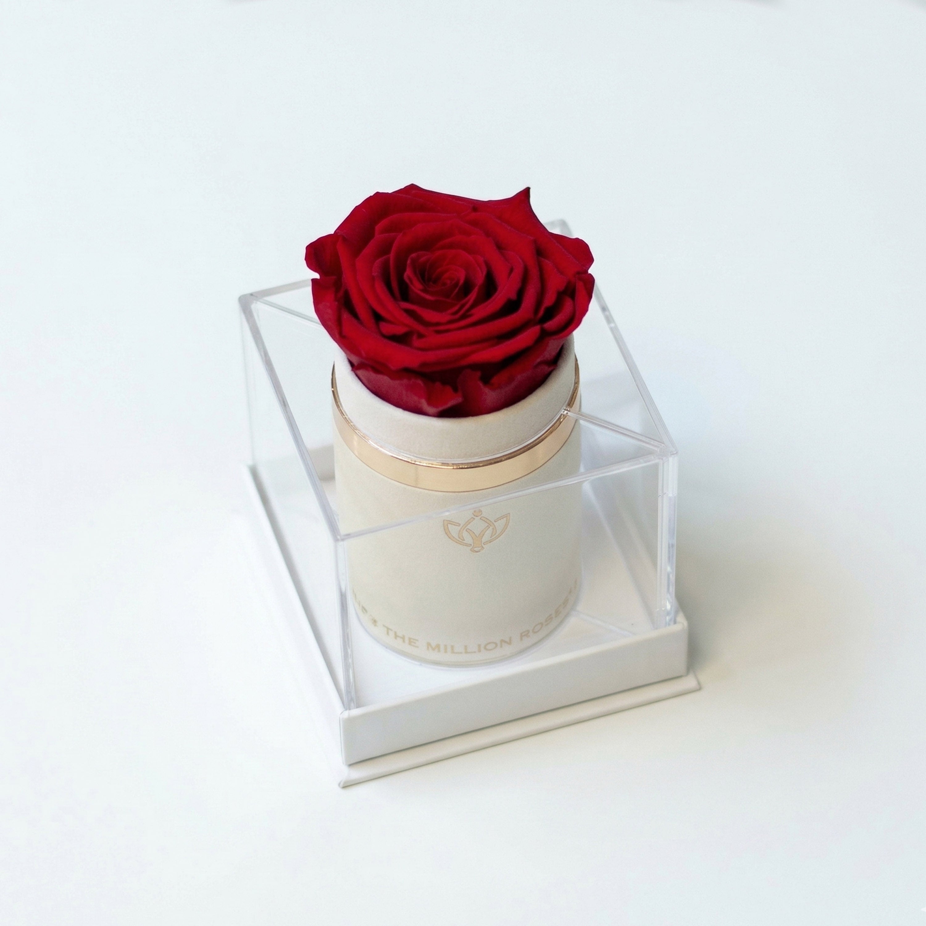 Single White Suede Box | Red Rose