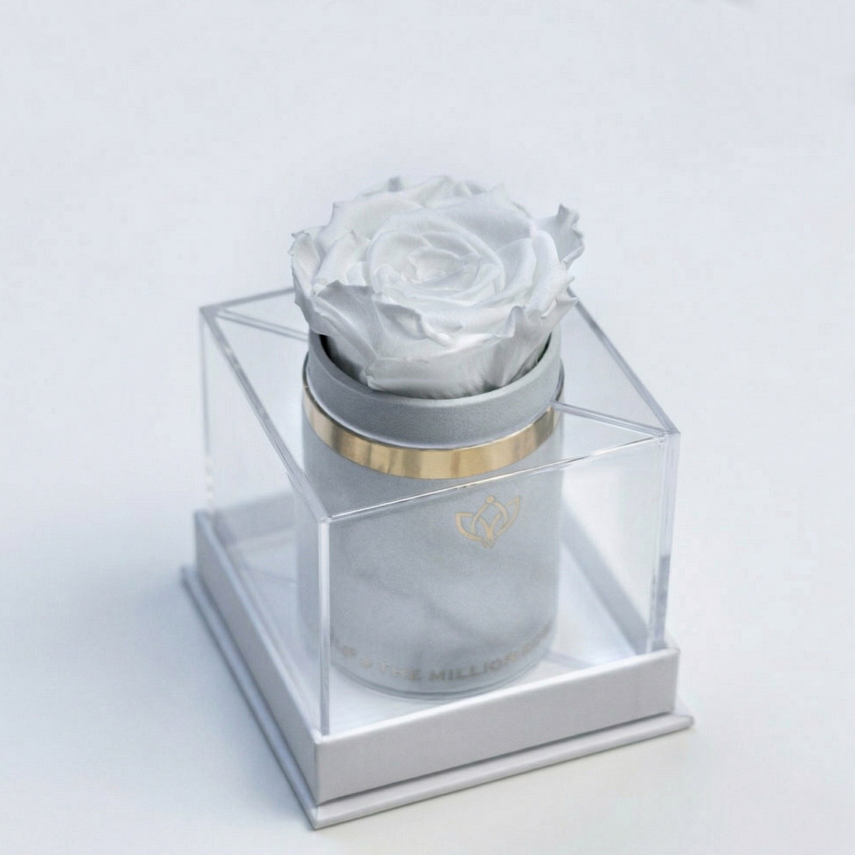 Single White Suede Box | White Rose