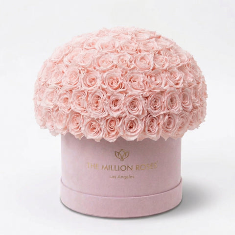 Supreme Light Pink Suede Superdome Box | Light Pink Roses