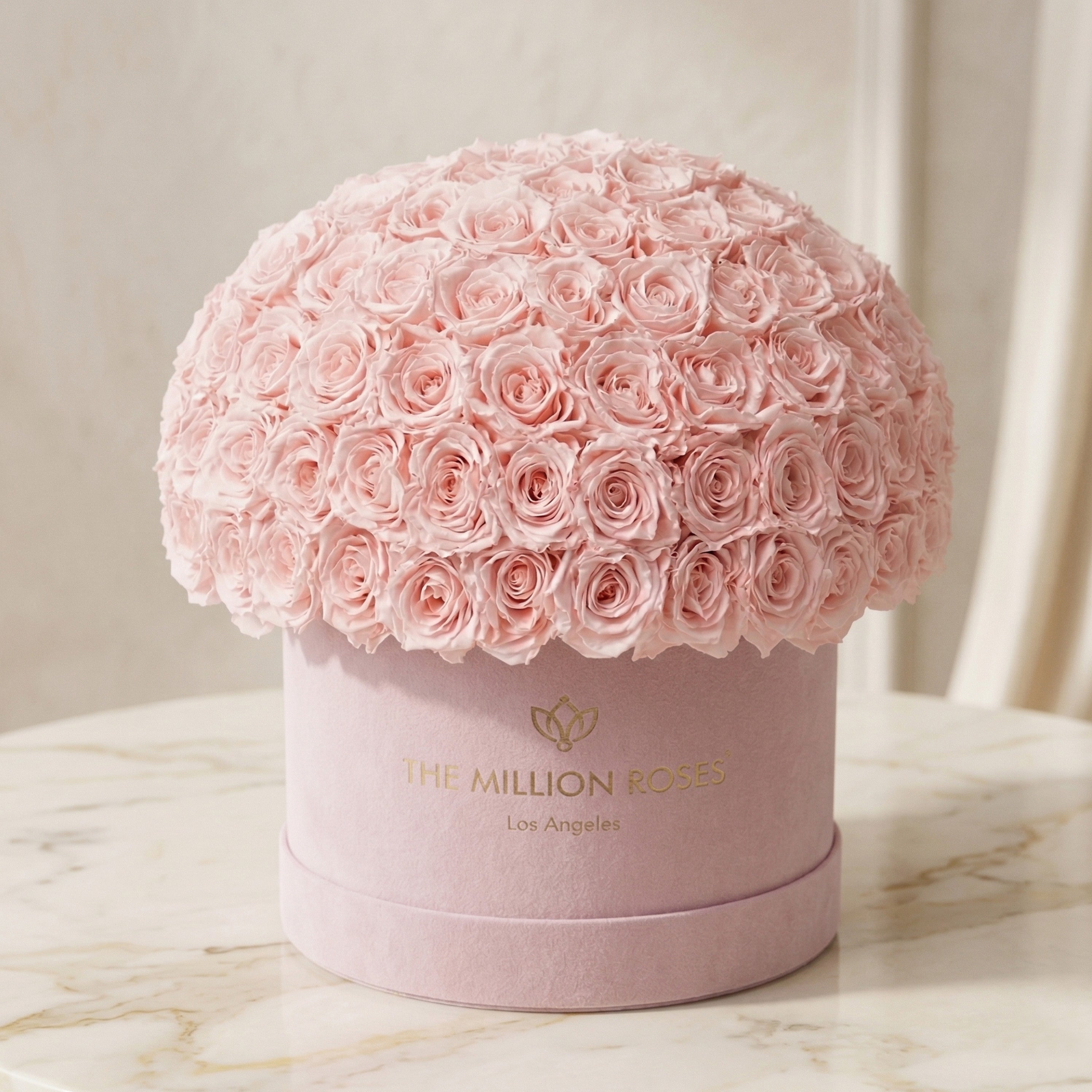 Supreme Light Pink Suede Superdome Box | Light Pink Roses