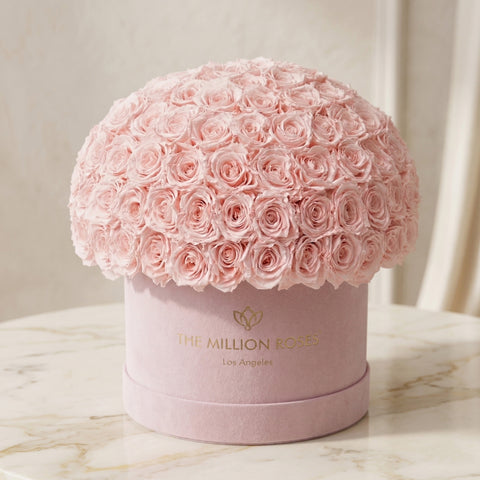 Supreme Light Pink Suede Superdome Box | Light Pink Roses