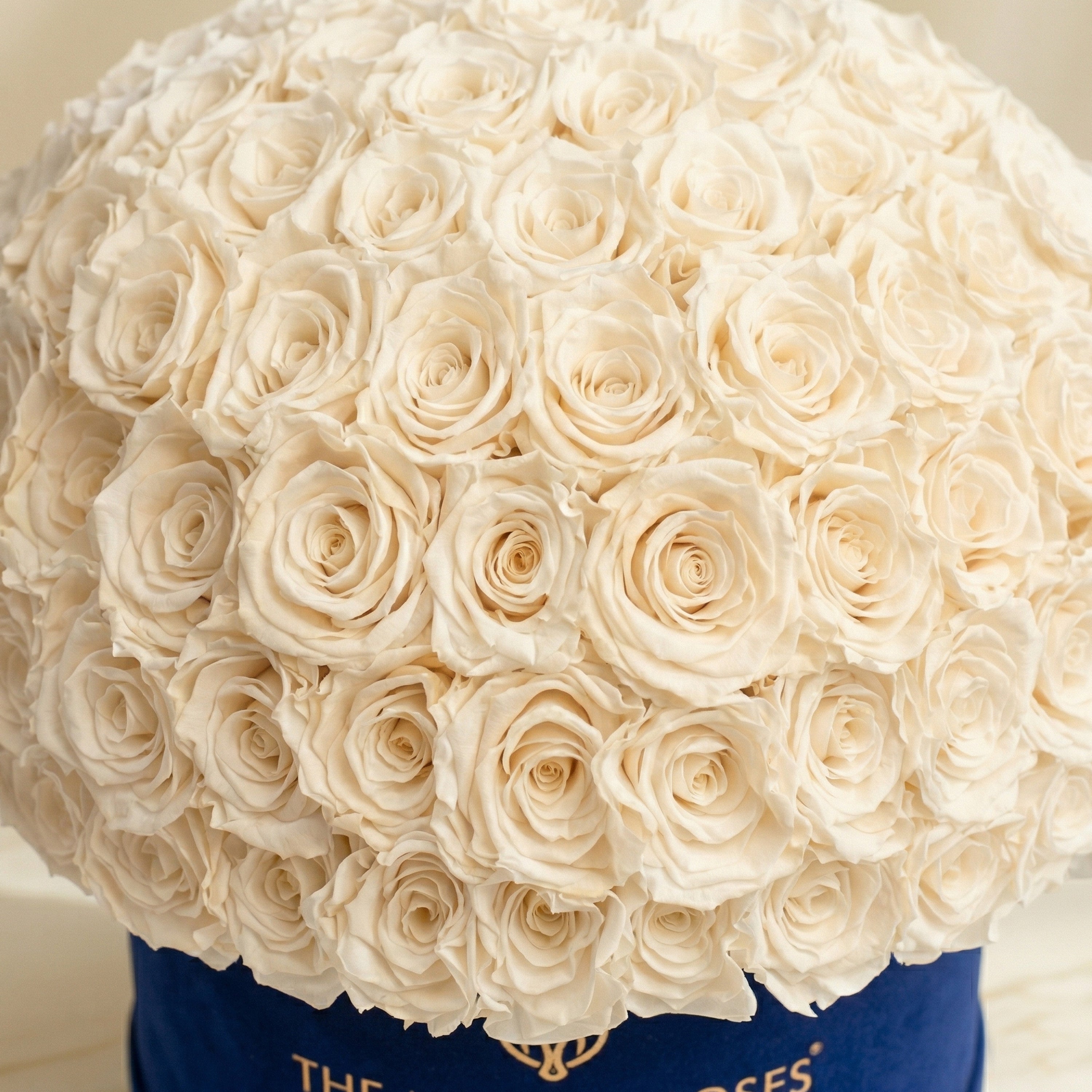 Supreme Royal Blue Suede Superdome Box | White Roses