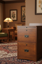 Mission Oak 2 Drawer File Cabinet w/ Writing Tray - Walnut