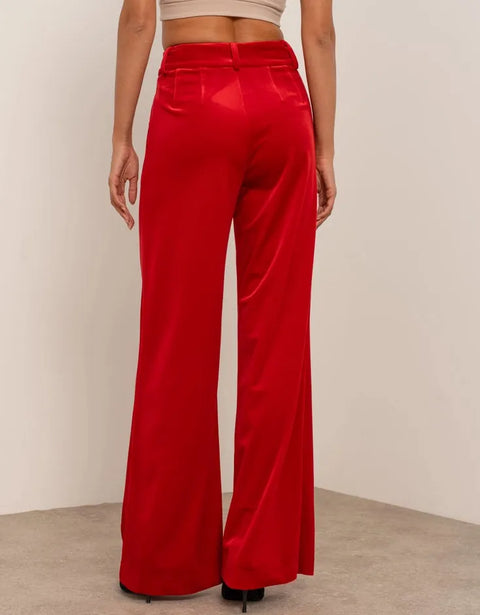 Wide Velvet Flowing Trousers with Double-Button Fastening