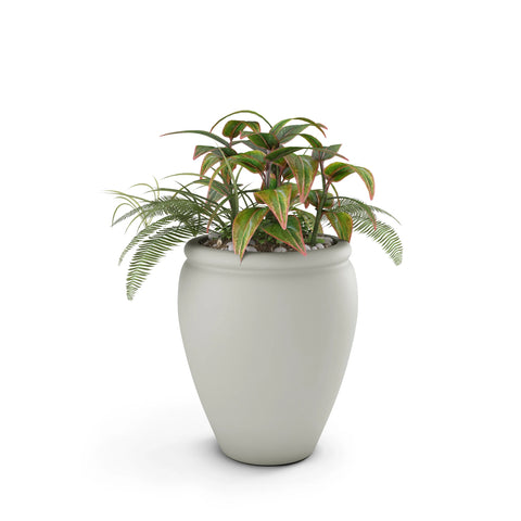 Bambino Planter