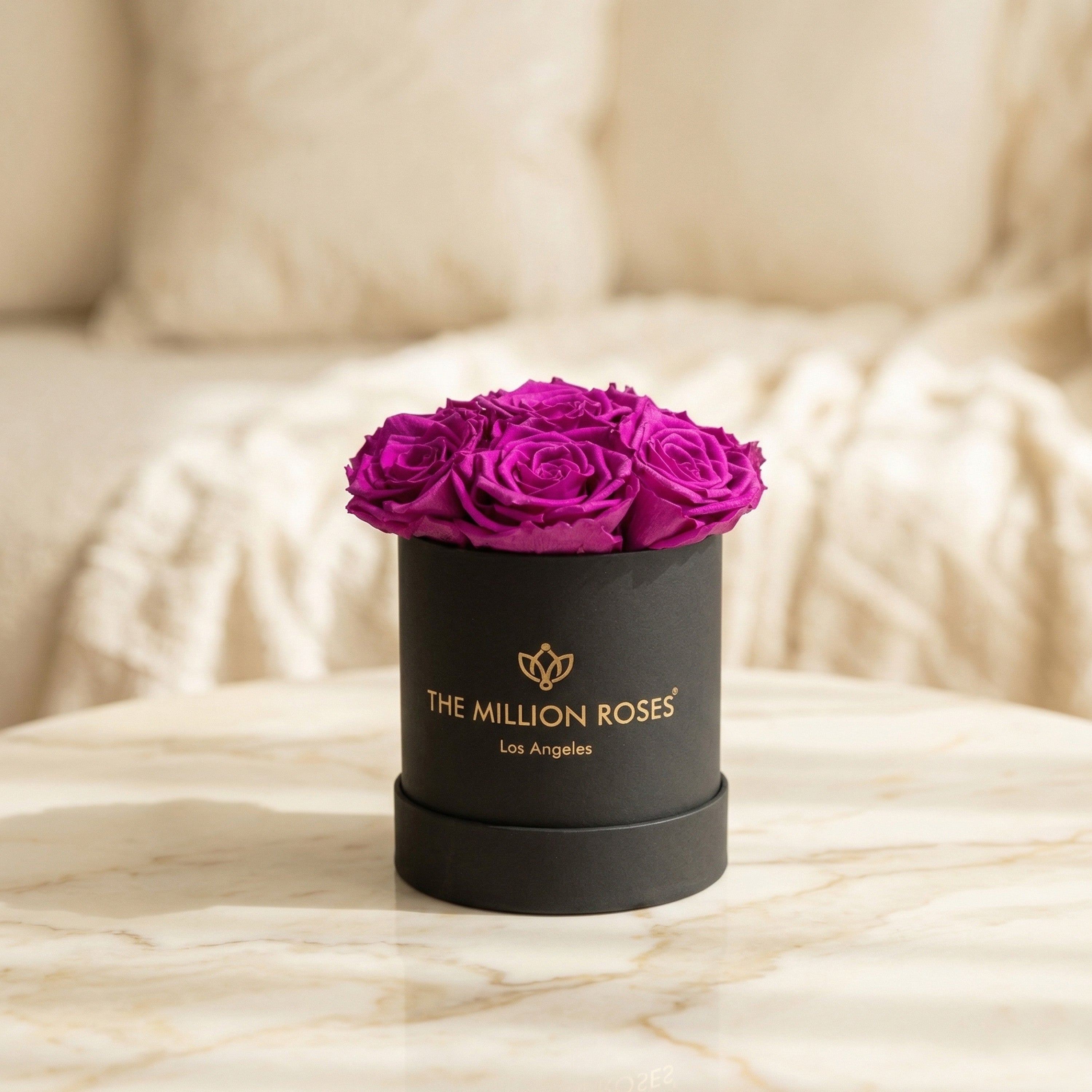 Basic Black Box | Bright Purple Roses