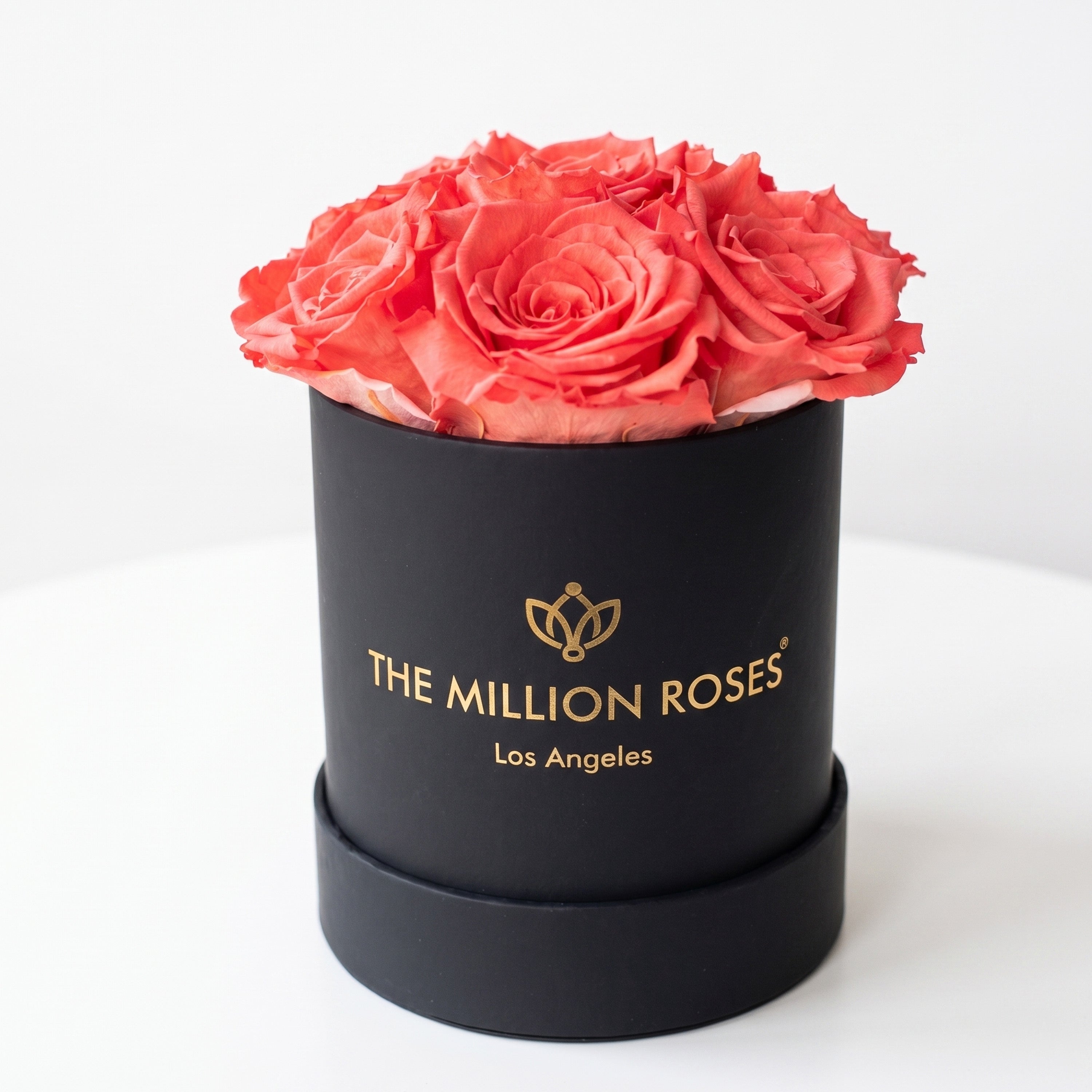 Essence Black Box | Coral Roses