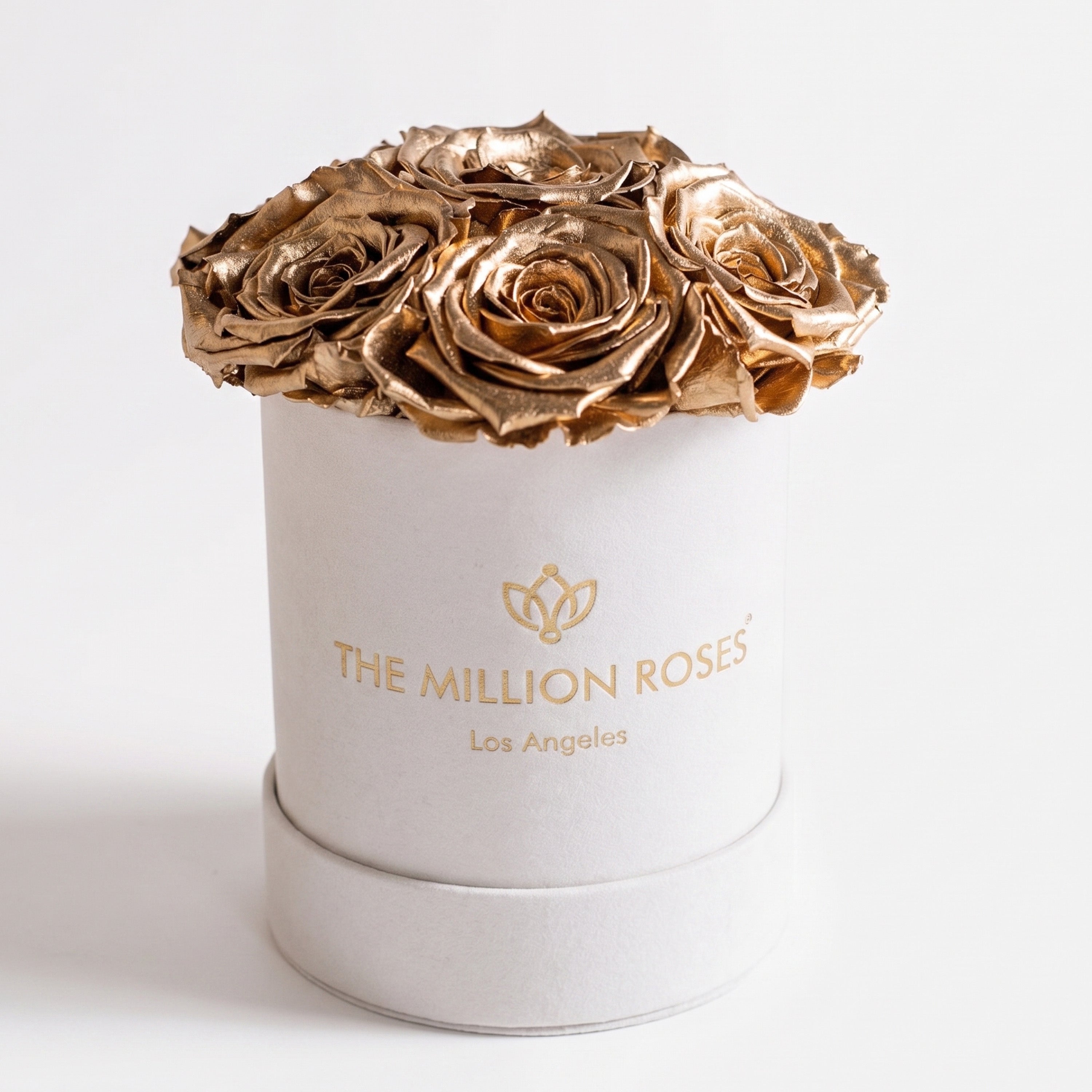 Basic Beige Suede Box | Gold Roses