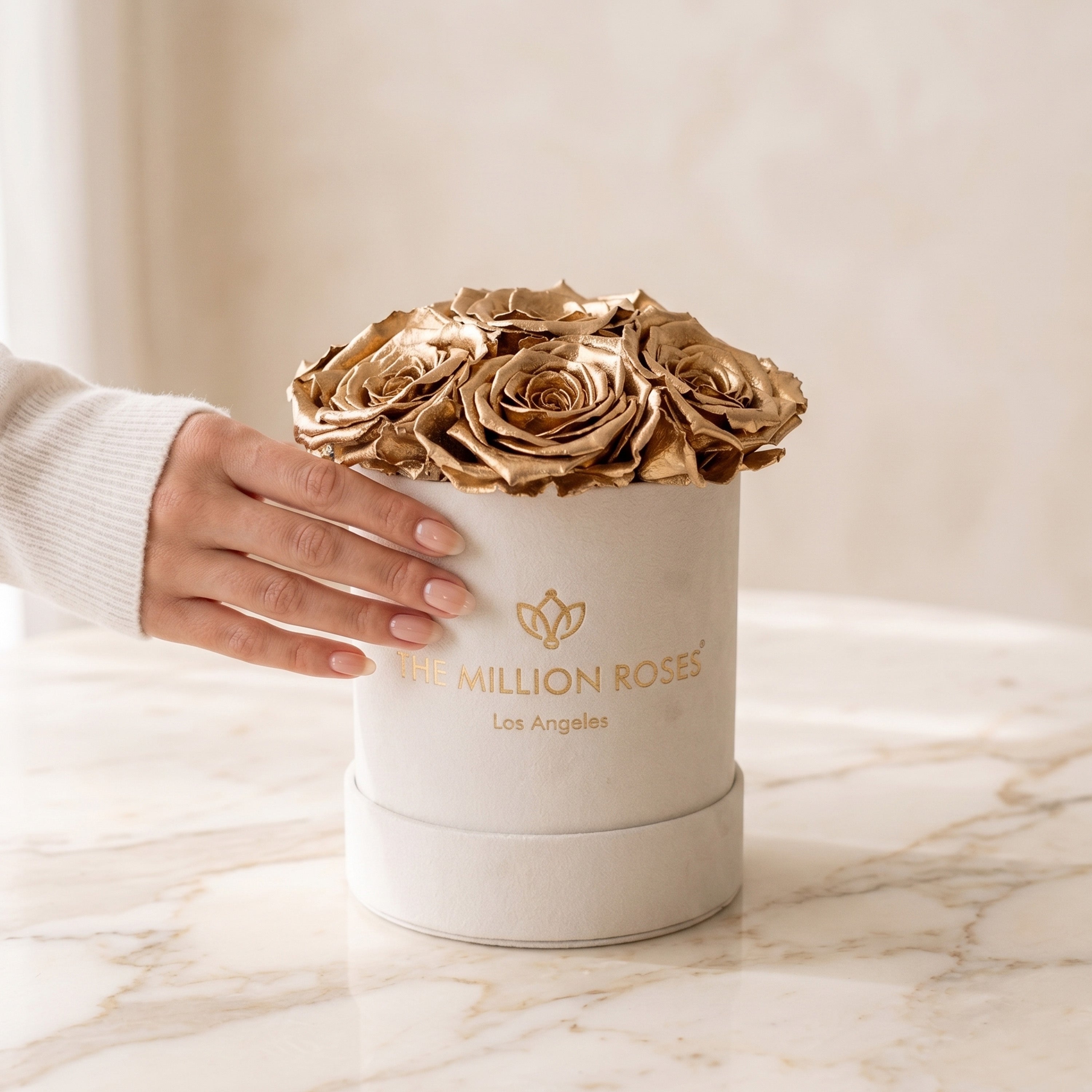 Basic Beige Suede Box | Gold Roses