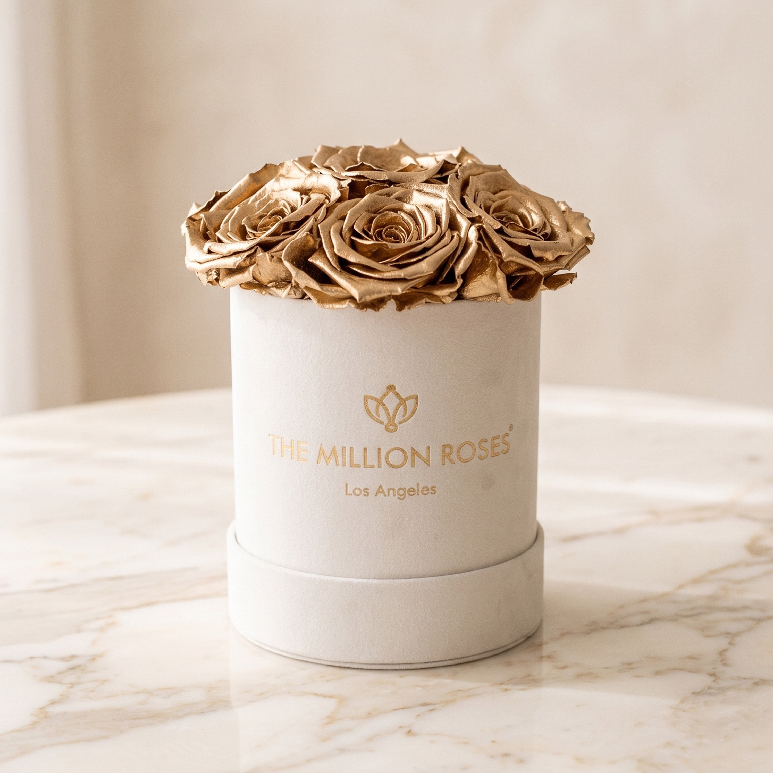 Basic Beige Suede Box | Gold Roses