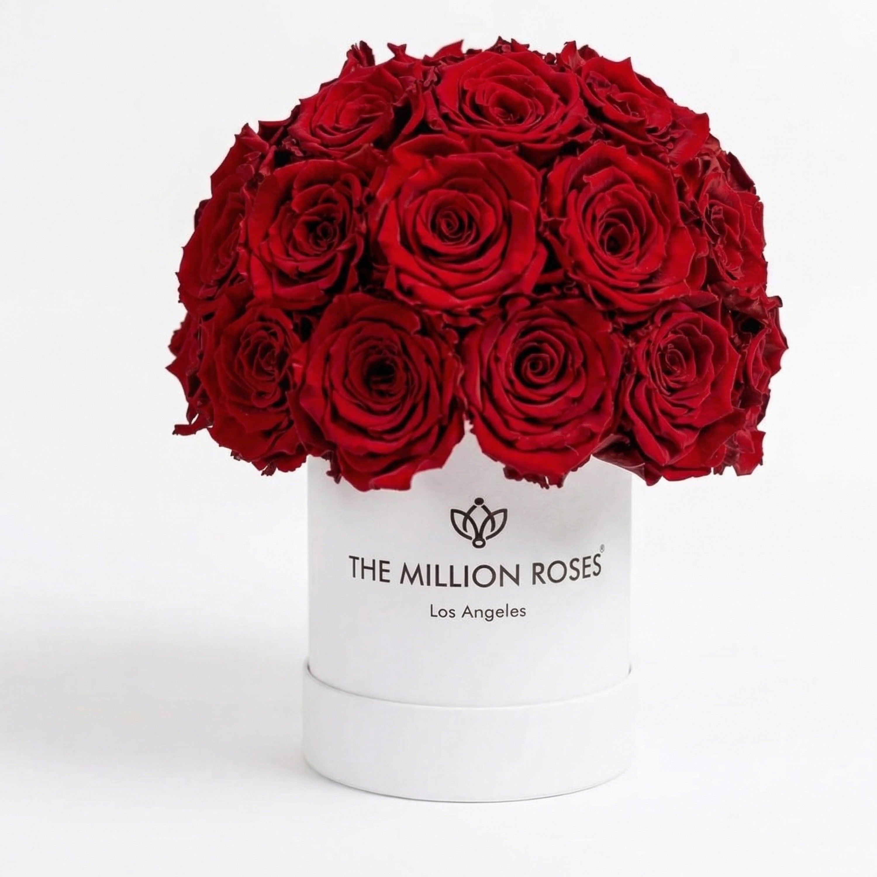 Basic White Superdome Box | Red Roses
