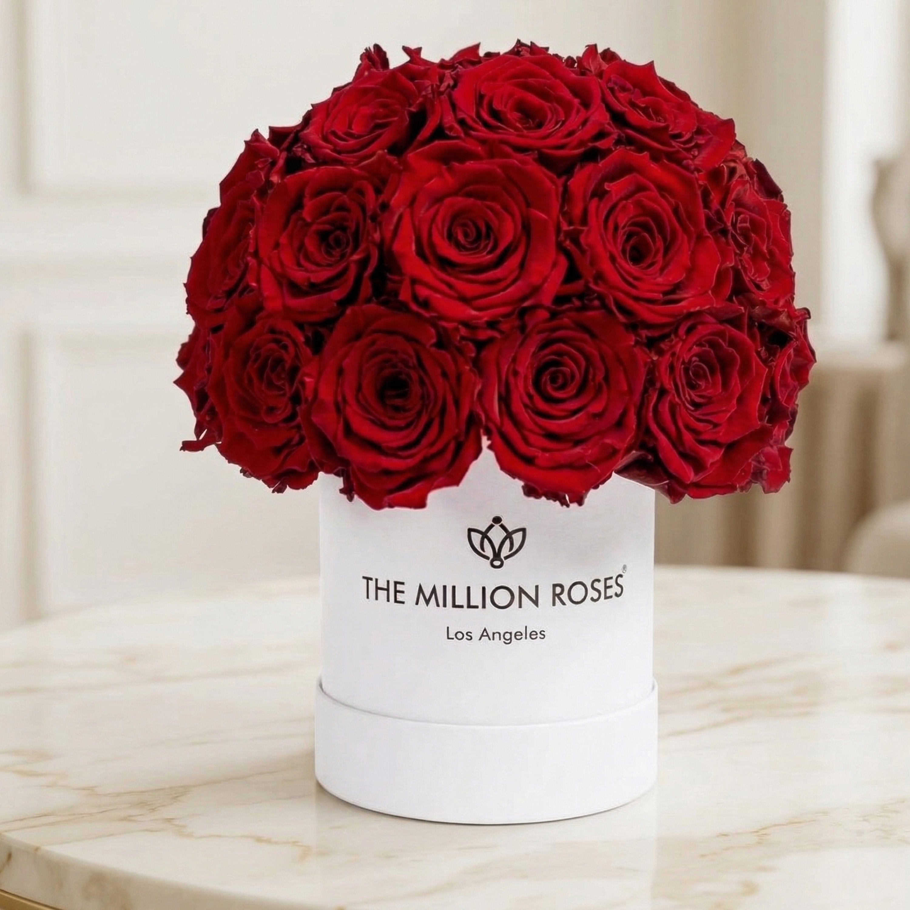 Basic White Superdome Box | Red Roses