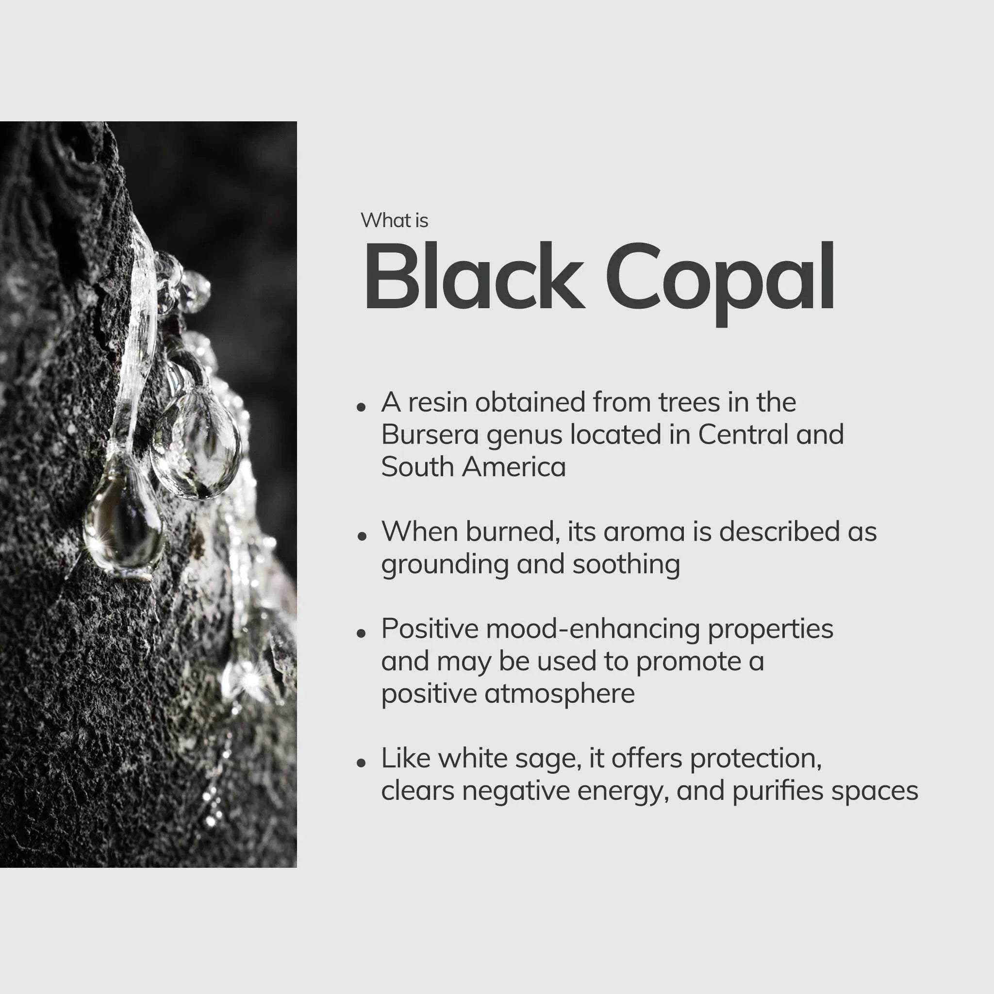 Black Copal Incense Sticks – 30 Mini Hand-Rolled Sticks from Peru (4.2")