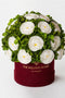 Classic Bordeaux Suede Box | White Persian Buttercups & Green Hydrangeas