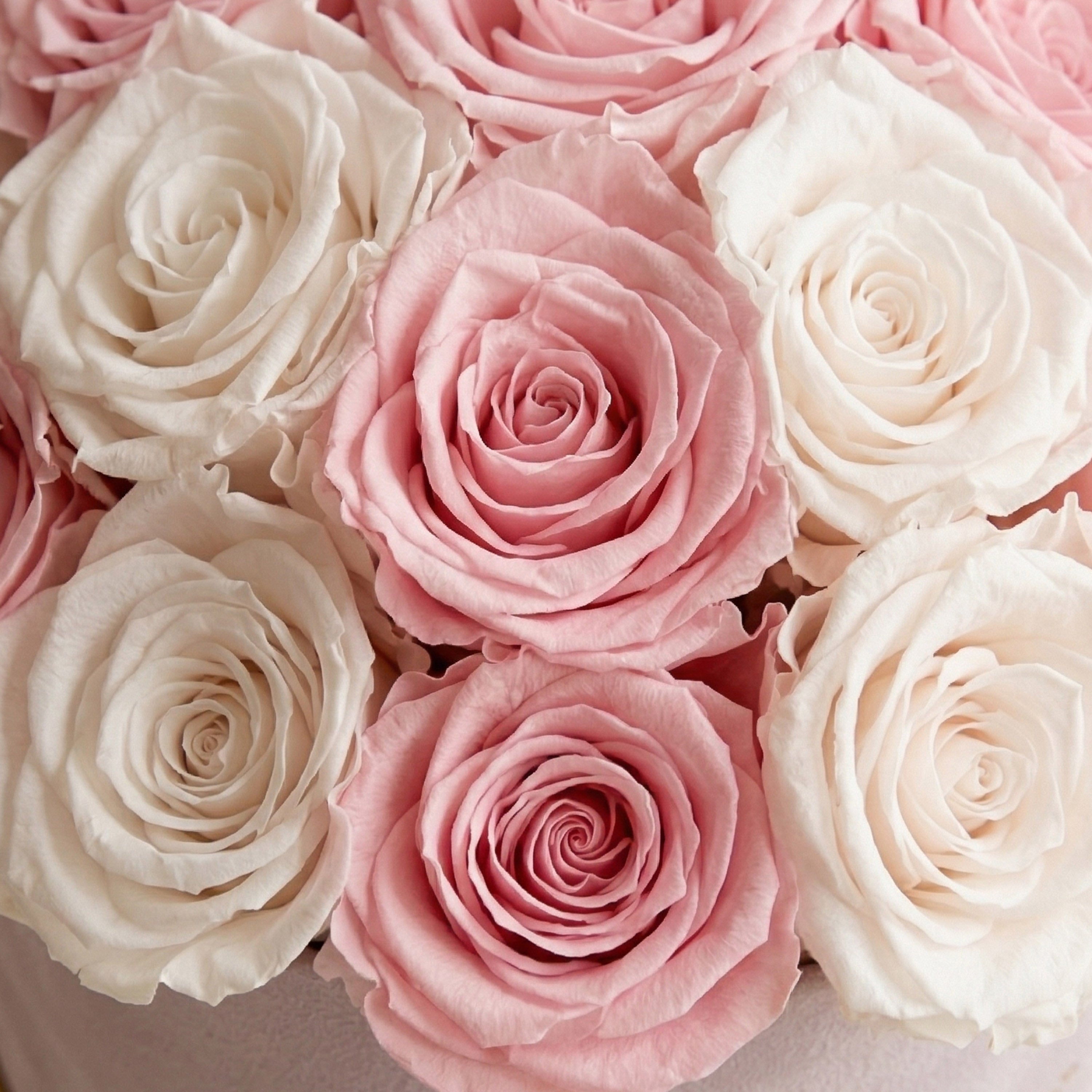 Classic Light Pink Suede Dome Box | White & Pink Roses