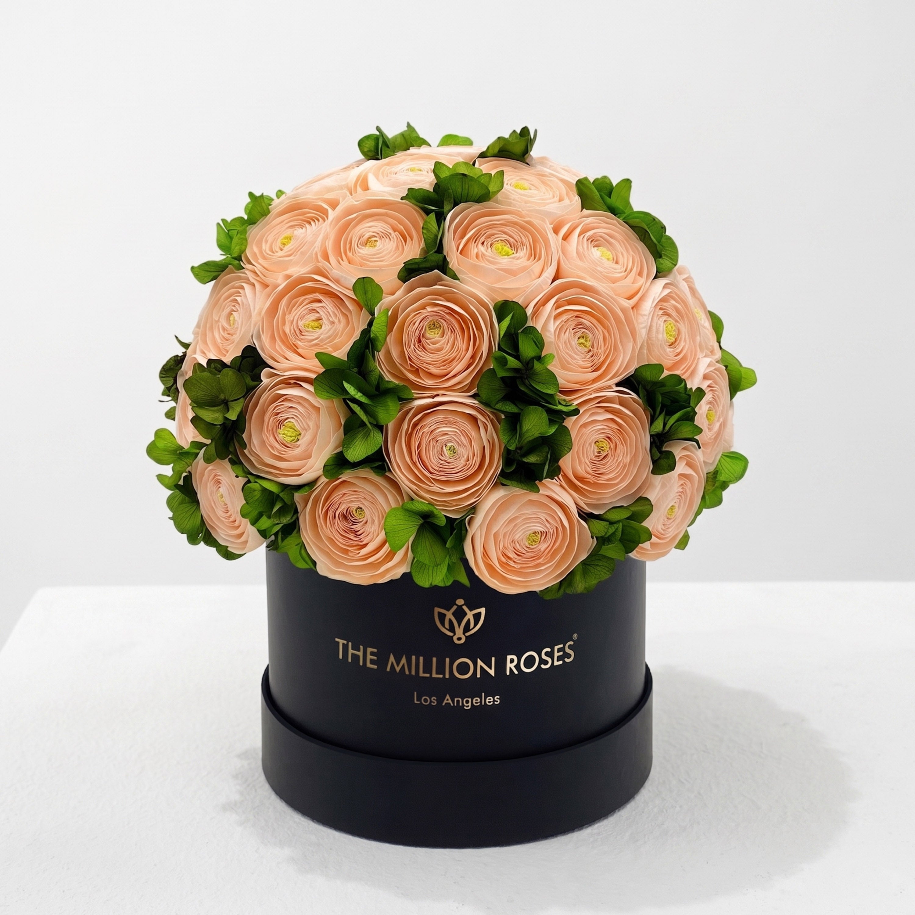 Classic Black Box | Peach Persian Buttercups & Green Hydrangeas