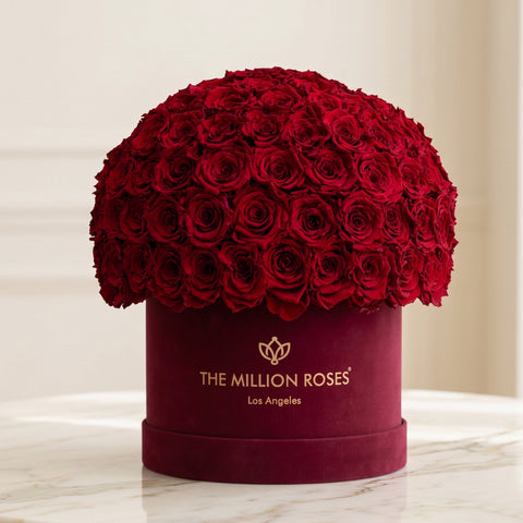 Classic Bordeaux Suede Superdome Box | Red Roses