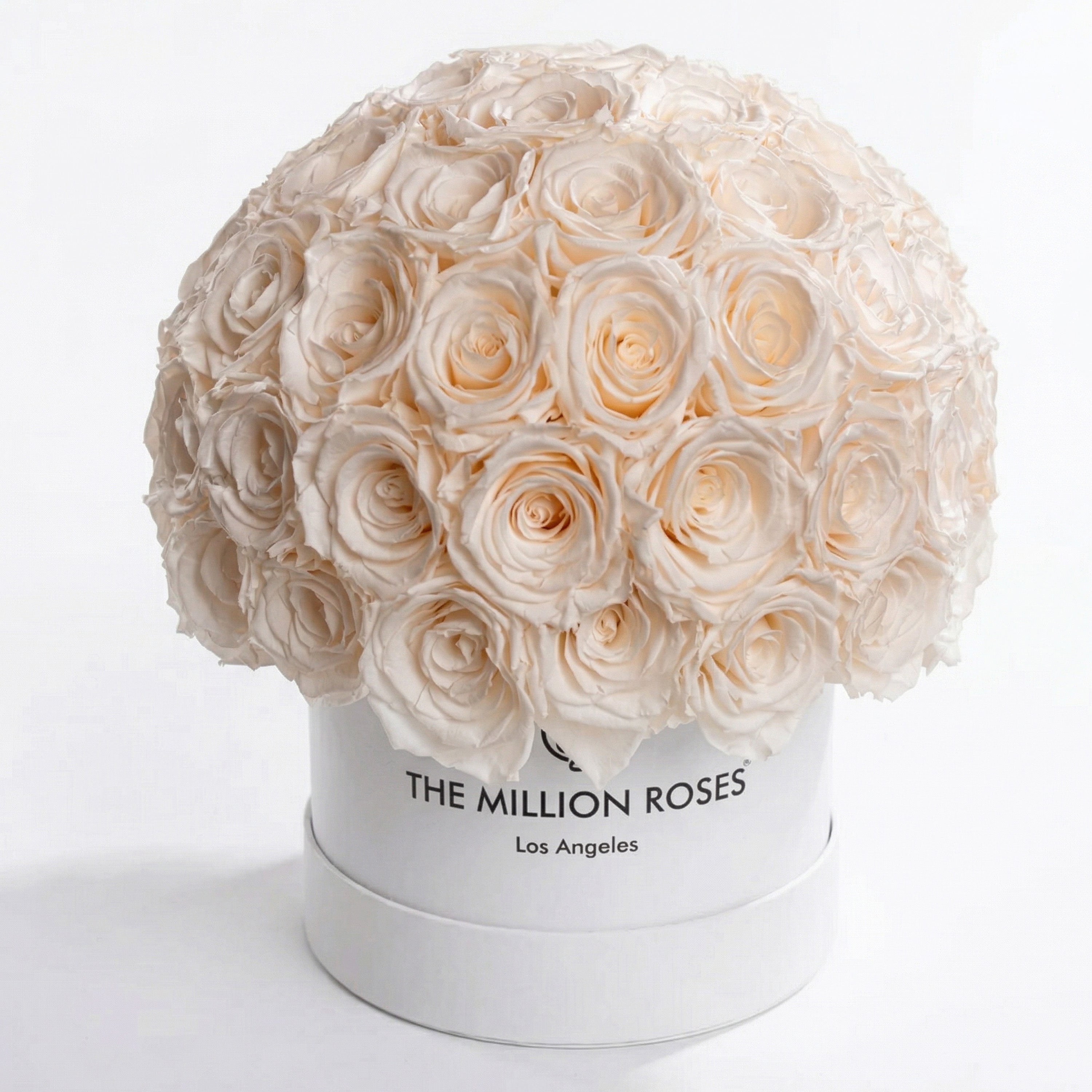 Classic White Superdome Box | White Roses