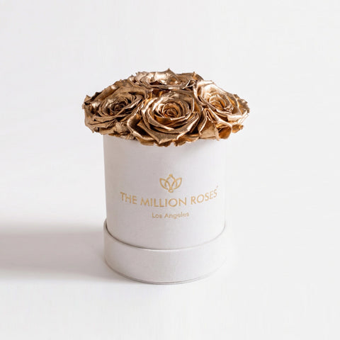 Essence Beige Suede Box | Gold Roses