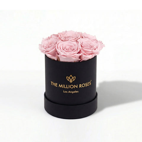 Essence Black Box | Light Pink Roses