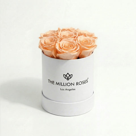 Essence White Box | Peach Roses