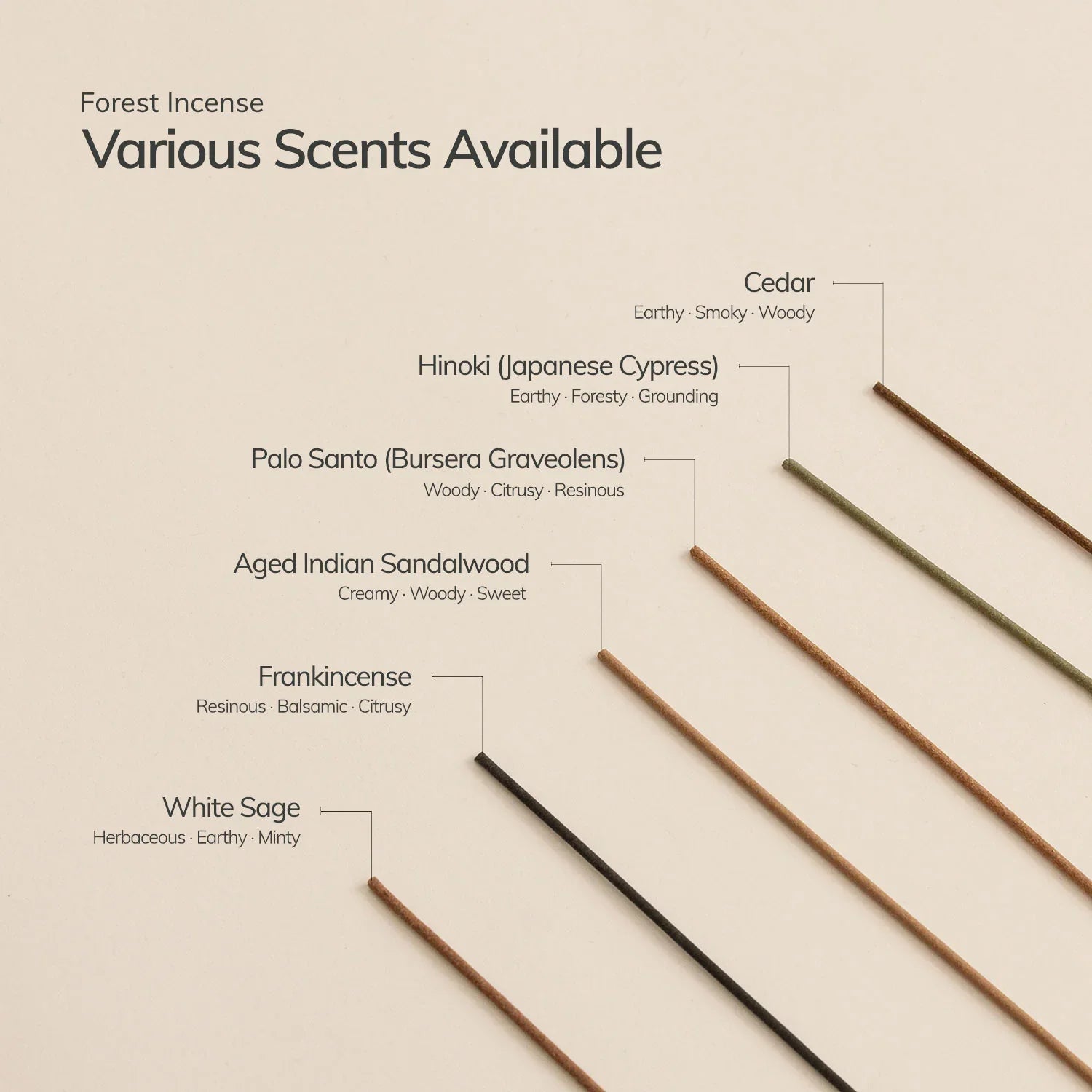 Hinoki Japanese Incense Stick Set – 30 Sticks with Ceramic Holder