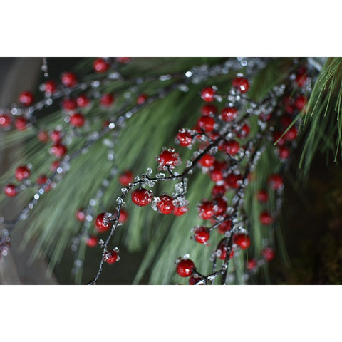 29" Faux Iced Red Berry Stem