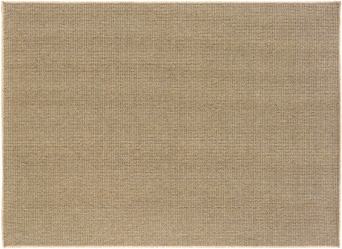 Karavia Indoor / Outdoor Rug - Brown