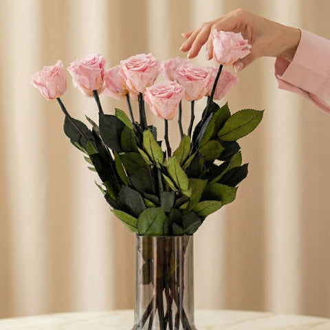 Long Stem Roses | Light Pink Roses