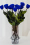 Long Stem Roses | Royal Blue Roses