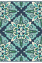 Meridian Indoor / Outdoor Rug